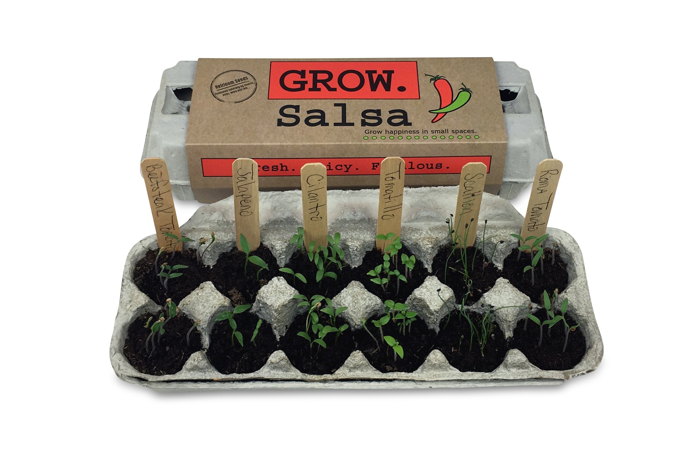 Salsa Grow Kit