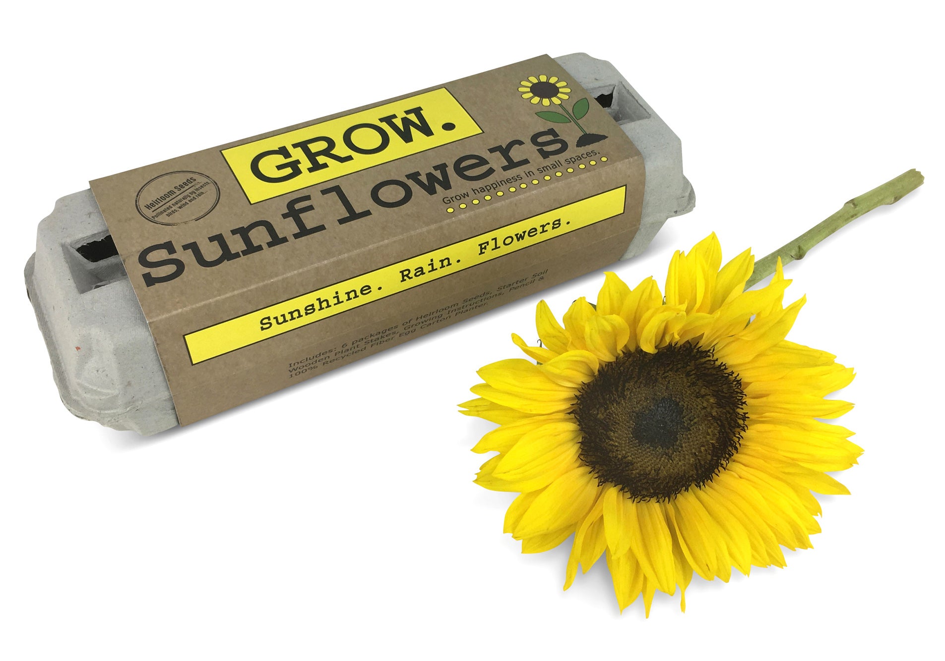 planter sunflower seeds Sunflower Garden – Backyardsafarico.com
