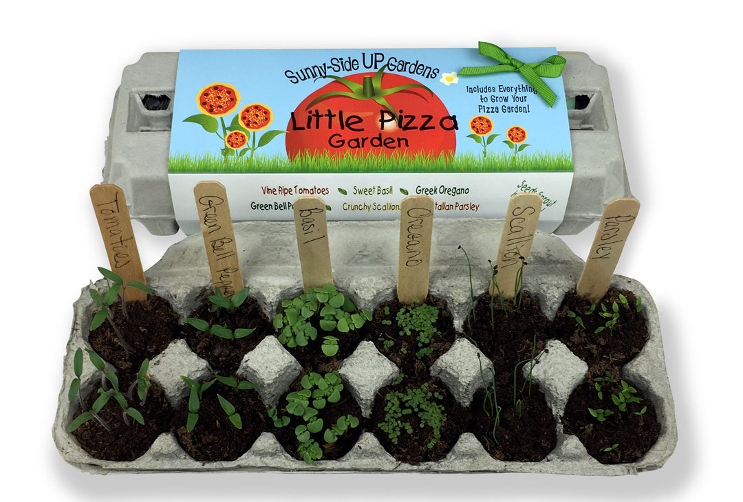 Little Pizza Garden – Backyardsafarico.com